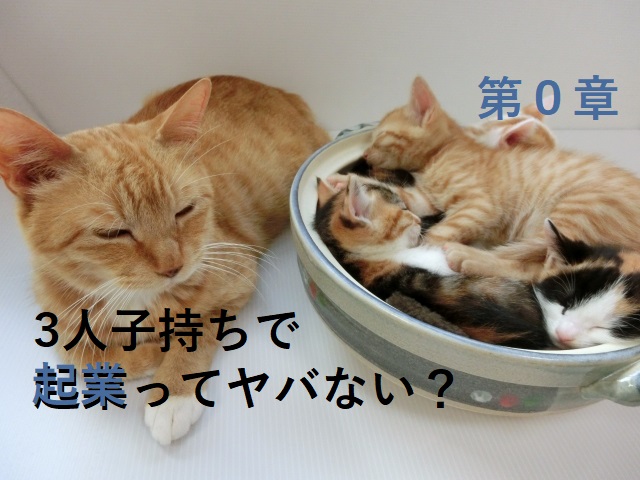 第0章 ママ建築士が代で起業して月収60万円稼ぐようになった話 プロフィール一覧 建築女子が幸せに稼ぐための3step講座